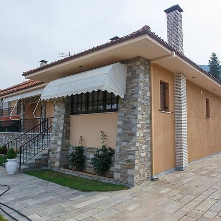 Βίλα Για Όλες Τις Εποχές Του Χρόνου Kozani Exteriér fotografie