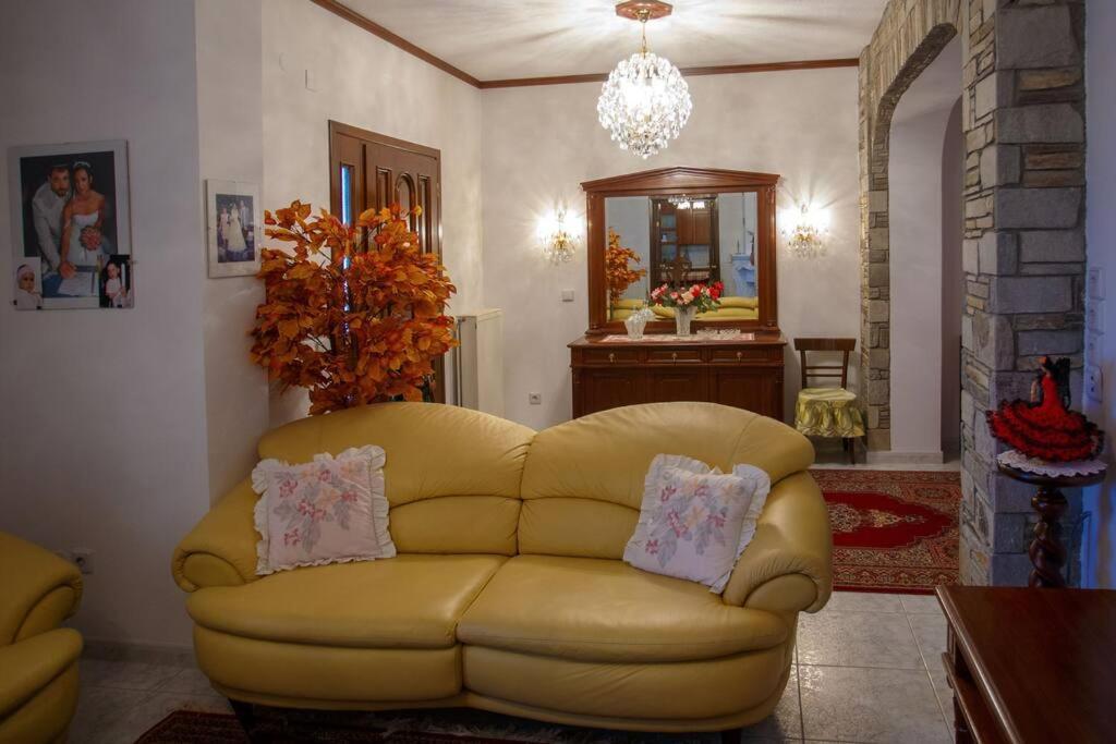 Βίλα Για Όλες Τις Εποχές Του Χρόνου Kozani Exteriér fotografie